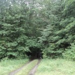 храм покрова пресвятой богородицы в павловке ульяновской области. Смотреть фото храм покрова пресвятой богородицы в павловке ульяновской области. Смотреть картинку храм покрова пресвятой богородицы в павловке ульяновской области. Картинка про храм покрова пресвятой богородицы в павловке ульяновской области. Фото храм покрова пресвятой богородицы в павловке ульяновской области